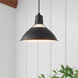 R Series 1 Light 13 inch Satin Black Indoor Pendant Ceiling Light